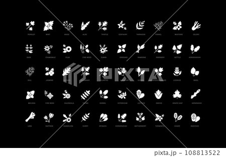 Set of simple icons of Herbs and Seasonings Set of simple icons of Herbs and Seasonings 108813522