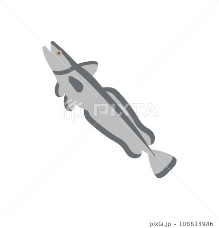 Hake Illustration Hake Illustration 108813986