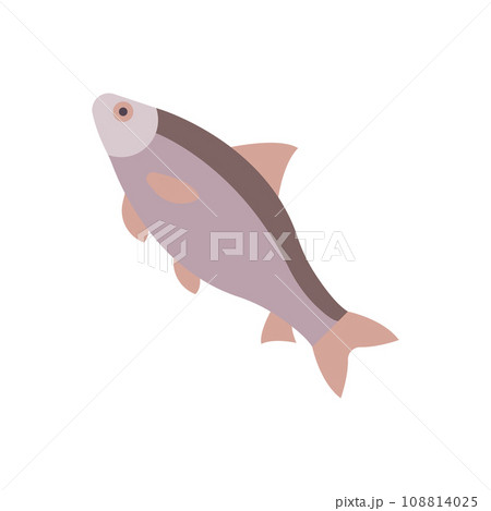 Caspian Roach Illustration 108814025