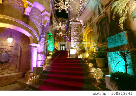 フェスタルーチェ　和歌山マリーナシティ　イルミネーション 108815243