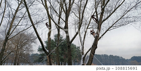 A tree decorated with iron animals in a city park 108815691
