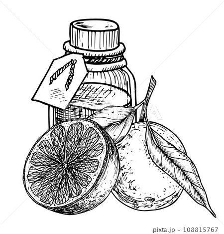Orange Essential Oil with slices of Fruit. Hand drawn vector illustration of vintage transparent Bottle for aroma therapy in black and white colors. Linear retro flacon for cosmetic citrus flavor. 108815767