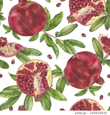 Pomegranate seamless Pattern. Watercolor botanical illustration of red Fruit and leaves. Hand drawn repeating ornament on isolated white background. Drawing of garnet for kitchen textiles and fabrics 108816042