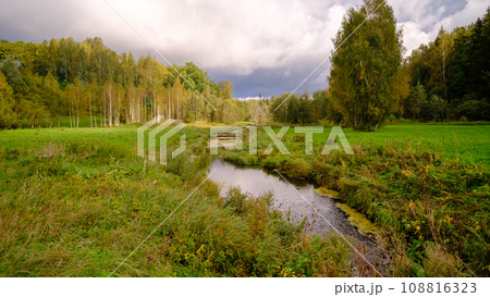 swampy environment with a small river. the river flows in a slow stream between the woods 108816323