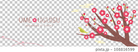 梅とうぐいすの背景バナー シンプルな立春の和風イラスト 108816599