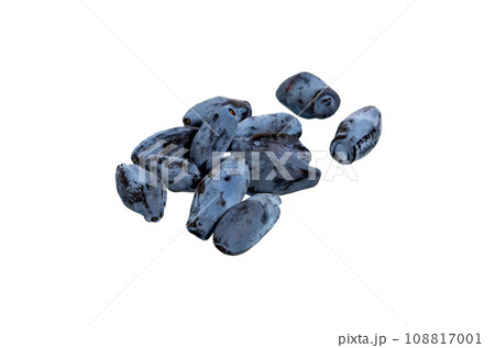 Haskap blue berry 108817001