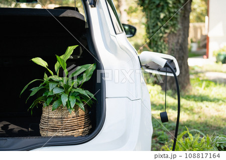 Electric car with flowers in the trunk charges near a country house Electric car with flowers in the trunk charges near a country house 108817164