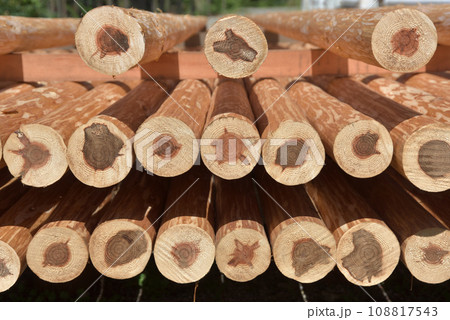 北山杉 京都市北区中川 北山杉 京都市北区中川 108817543