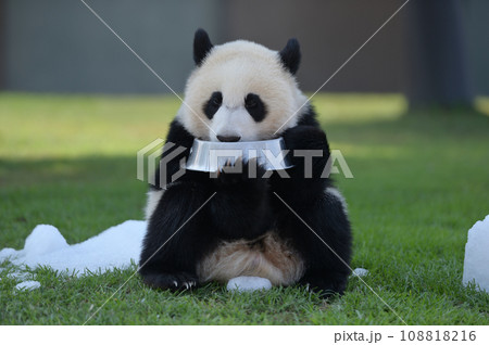 優浜のミルクタイム 108818216