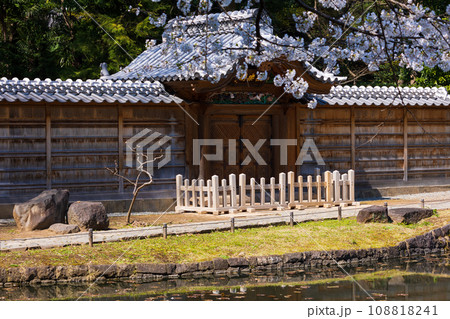 東京の春 小石川後楽園の桜と唐門 東京の春 小石川後楽園の桜と唐門 108818241