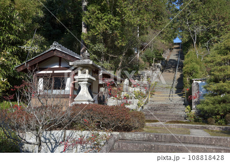 石塔寺 参道の石段 滋賀県東近江市 石塔寺 参道の石段 滋賀県東近江市 108818428