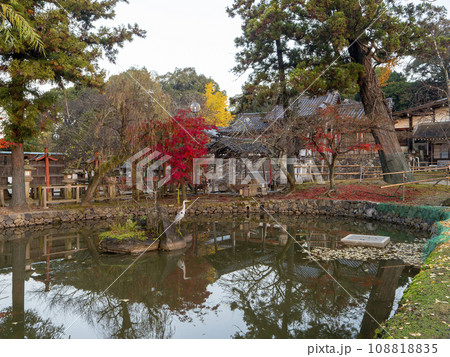 氷室神社の池と紅葉 氷室神社の池と紅葉 108818835