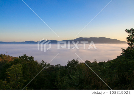 かめおか霧のテラスからの雲海 かめおか霧のテラスからの雲海 108819022