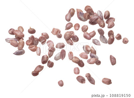 Boiled peanut fly explosion, boiled peanut bean fall down pour mix inside peel off. Tropical boiled peanut throw in air. White background Isolated high speed shutter, freeze action Boiled peanut fly explosion, boiled peanut bean fall down pour mix inside peel off. Tropical boiled peanut throw in air. White background Isolated high speed shutter, freeze action 108819150
