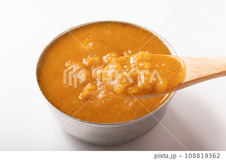 ダールカレー (豆のカレー) ベジタブルカレー ダールカレー (豆のカレー) ベジタブルカレー 108819362