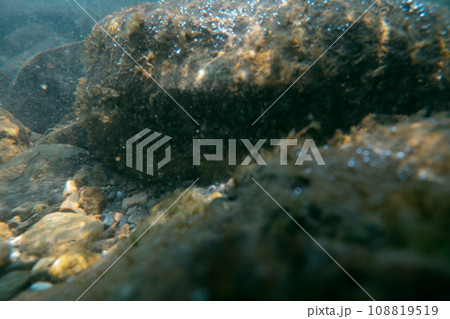 play in the river play in the river 108819519