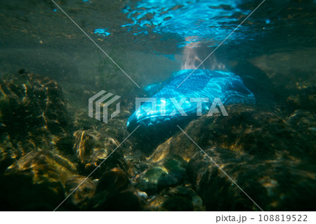 play in the river play in the river 108819522