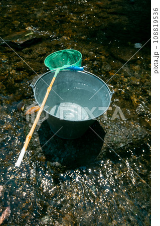 play in the river 108819536