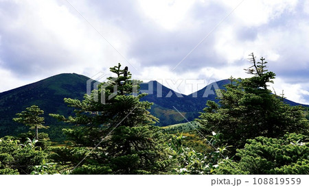 八甲田山　湿原展望台から見える山々の風景 108819559