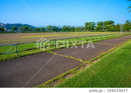 早朝の西毛総合運動公園　真夏の風景　群馬県安中市 108819637