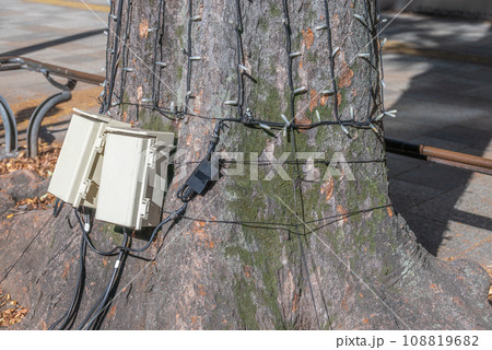 街路樹のイルミネーション　電源ボックス 108819682