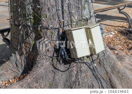 街路樹のイルミネーション 電源ボックス 街路樹のイルミネーション 電源ボックス 108819683