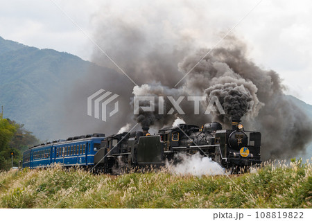 ススキの築堤を走るSLやまぐち号重連運転（C57-1+C56-160+12系客車） 108819822