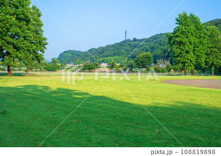 早朝の西毛総合運動公園 真夏の風景 群馬県安中市 早朝の西毛総合運動公園 真夏の風景 群馬県安中市 108819898