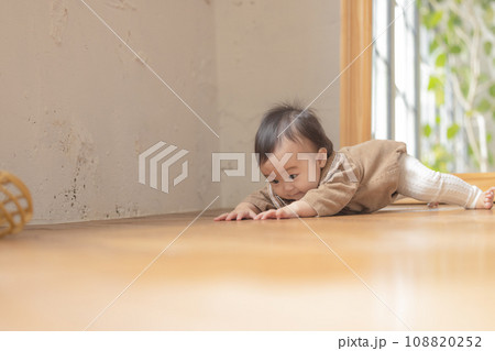 ハイハイする赤ちゃん ハイハイする赤ちゃん 108820252