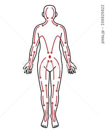 経絡のイラストのイラスト素材 [108820822] - PIXTA