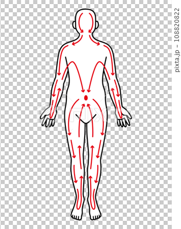 経絡のイラスト 経絡のイラスト 108820822