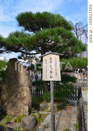 義経鎧掛けの松（四天王寺／大阪市天王寺区） 108821569