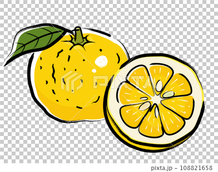 Yuzu illustration_brush writing Yuzu illustration_brush writing 108821658