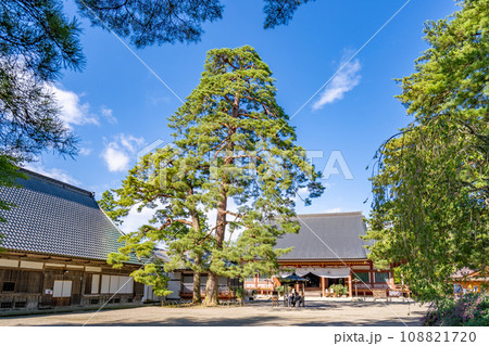 毛越寺　本堂　日本庭園史上特に貴重な平安時代の浄土庭園遺構　世界遺産　国の特別史跡・特別名勝 108821720