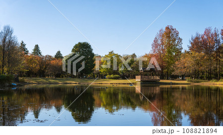 埼玉県／彩の森入間公園の秋／池に映る紅葉【米軍基地跡地】 108821894