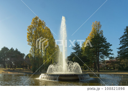 埼玉県／彩の森入間公園の噴水と紅葉【米軍基地跡地】 108821898