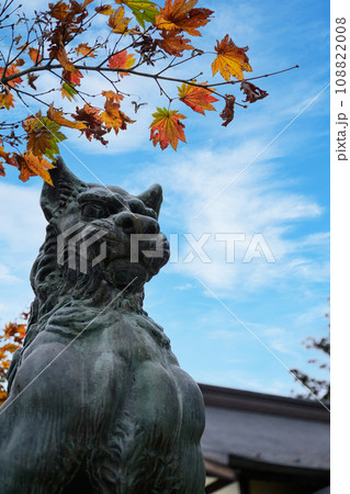 御嶽神社 拝殿前の狛犬 東京都青梅市 御嶽神社 拝殿前の狛犬 東京都青梅市 108822008