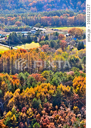 《長野県》木曽町九蔵峠から望む紅葉の開田高原 108822127