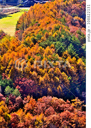 《長野県》木曽町九蔵峠から望む紅葉の開田高原 108822131
