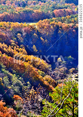 《長野県》木曽町九蔵峠から望む紅葉の開田高原 《長野県》木曽町九蔵峠から望む紅葉の開田高原 108822135