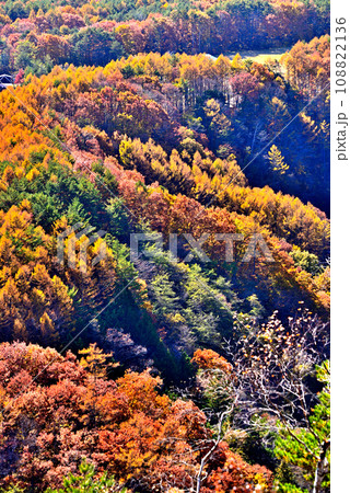 《長野県》木曽町九蔵峠から望む紅葉の開田高原 《長野県》木曽町九蔵峠から望む紅葉の開田高原 108822136