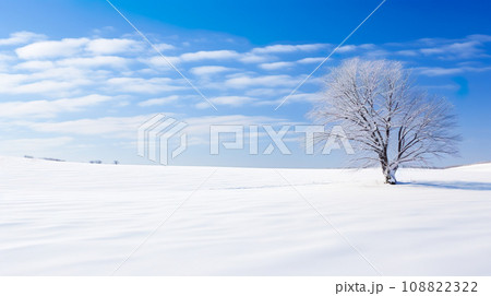 静かな銀世界「AI生成画像」 静かな銀世界「AI生成画像」 108822322