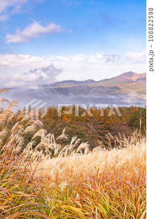 《山梨県》ススキの山中湖パノラマ台の眺望・秋の風景 108822598