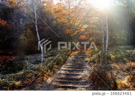 美鈴池の絶景 【長野県南牧村（八ヶ岳高原ロッジ）】 108823481