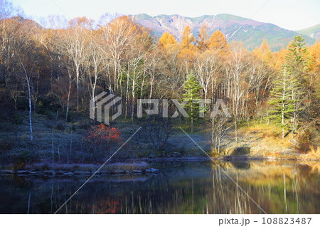 美鈴池の絶景 【長野県南牧村(八ヶ岳高原ロッジ)】 美鈴池の絶景 【長野県南牧村(八ヶ岳高原ロッジ)】 108823487