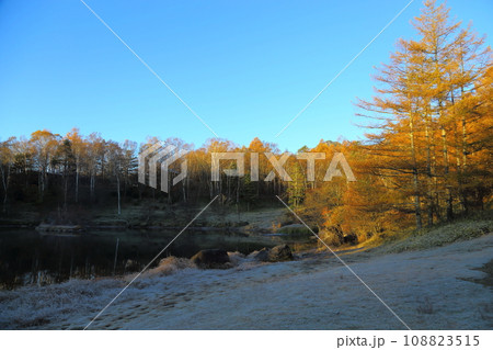 美鈴池の絶景 【長野県南牧村(八ヶ岳高原ロッジ)】 美鈴池の絶景 【長野県南牧村(八ヶ岳高原ロッジ)】 108823515