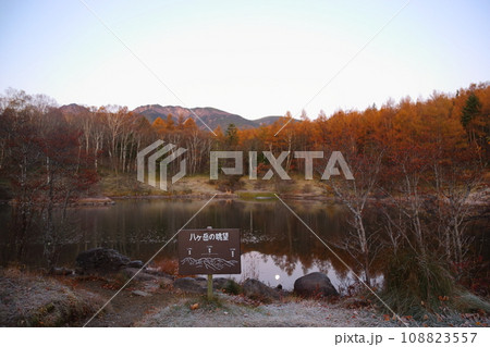 美鈴池の絶景 【長野県南牧村(八ヶ岳高原ロッジ)】 美鈴池の絶景 【長野県南牧村(八ヶ岳高原ロッジ)】 108823557