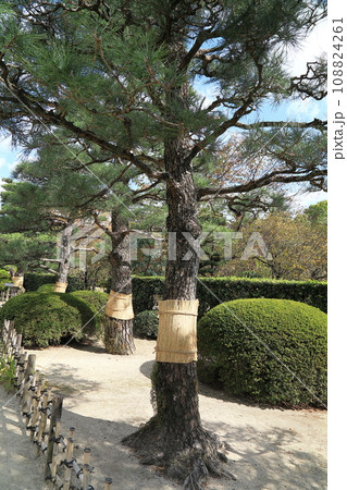 秋の縮景園 秋の縮景園 108824261