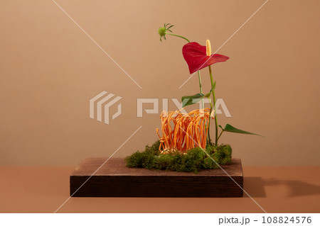 Scene for advertising herbal medicine product with minimal concept. Cordyceps, green moss and red flower displayed on wooden podiums on brown background. Blank space for design 108824576
