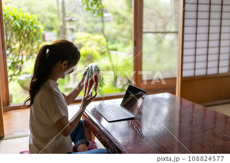 和室の女性 108824577